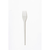 Economy Plastic Forks  x100