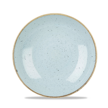 Stonecast Duck Egg Blue Evolve Coupe Bowl 9.75Inch x12