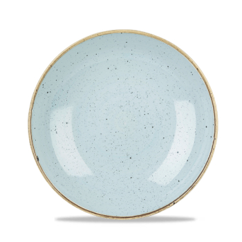 Stonecast Duck Egg Blue Evolve Coupe Bowl 9.75Inch x12 Stonecast Duck Egg Blue Evolve Coupe Bowl 9.75Inch x12