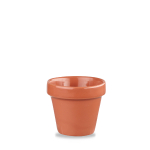 Paprika  Plant Pot 12oz Box 12