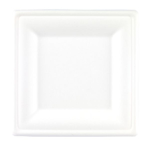 15cm Square Bagasse Plates 4x125