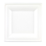 20cm Square Bagasse Plates x500