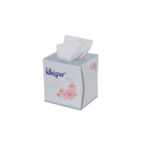 2Ply Cube Boxed Tissues White 70sht x24 2Ply Cube Boxed Tissues White 70sht x24