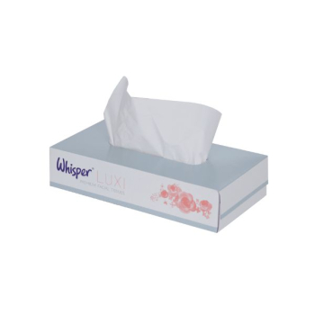 Flat Pk White Facial Tissue 2Ply 100sht x24 Flat Pk White Facial Tissue 2Ply 100sht x24